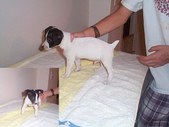 Enlarge photo 27