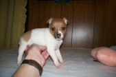 Enlarge photo 22