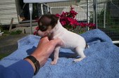 Enlarge photo 16