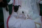 Enlarge photo 31