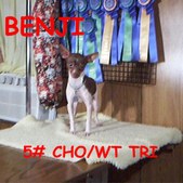 Enlarge photo 104