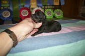 Enlarge photo 109