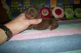 Enlarge photo 111