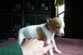 Enlarge photo 8