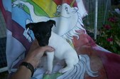 Enlarge photo 54