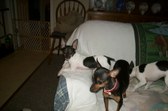 Enlarge photo 4