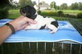 Enlarge photo 158
