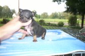 Enlarge photo 132