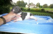 Enlarge photo 130