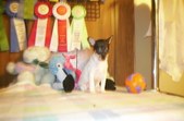Enlarge photo 284