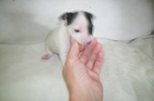 Enlarge photo 128