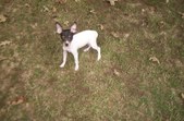 Enlarge photo 239