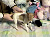 Enlarge photo 302