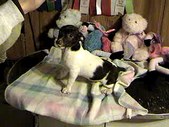 Enlarge photo 309