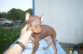 Enlarge photo 94