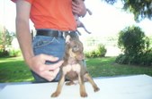 Enlarge photo 88