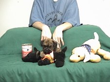 Enlarge photo 148