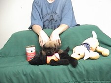 Enlarge photo 151