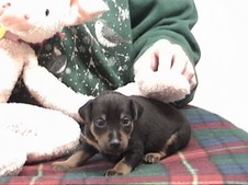 Enlarge photo 268