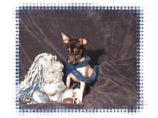 Enlarge photo 286
