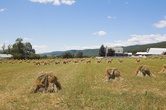 Enlarge photo 1