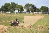 Big Valley