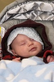Logan 11-12-03