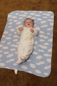 Enlarge photo 15