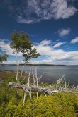 Enlarge photo 24