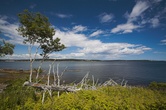 Enlarge photo 25