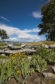 Enlarge photo 26