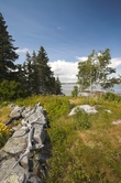 Enlarge photo 32