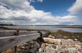 Enlarge photo 39