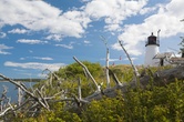 Enlarge photo 40