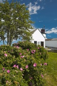 Enlarge photo 41