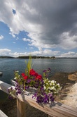 Enlarge photo 42