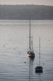 Enlarge photo 59