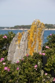 Enlarge photo 60