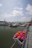 Enlarge photo 86
