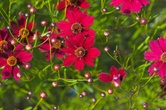 Enlarge photo 89