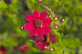 Enlarge photo 94