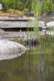 Enlarge photo 98