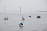 Enlarge photo 104