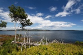 Enlarge photo 14