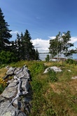 Enlarge photo 21