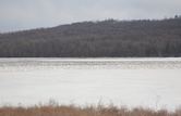 Middlecreek