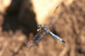 Enlarge photo 8