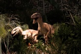 Philadelphia Flower Show