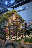 Enlarge photo 6