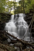 Enlarge photo 7